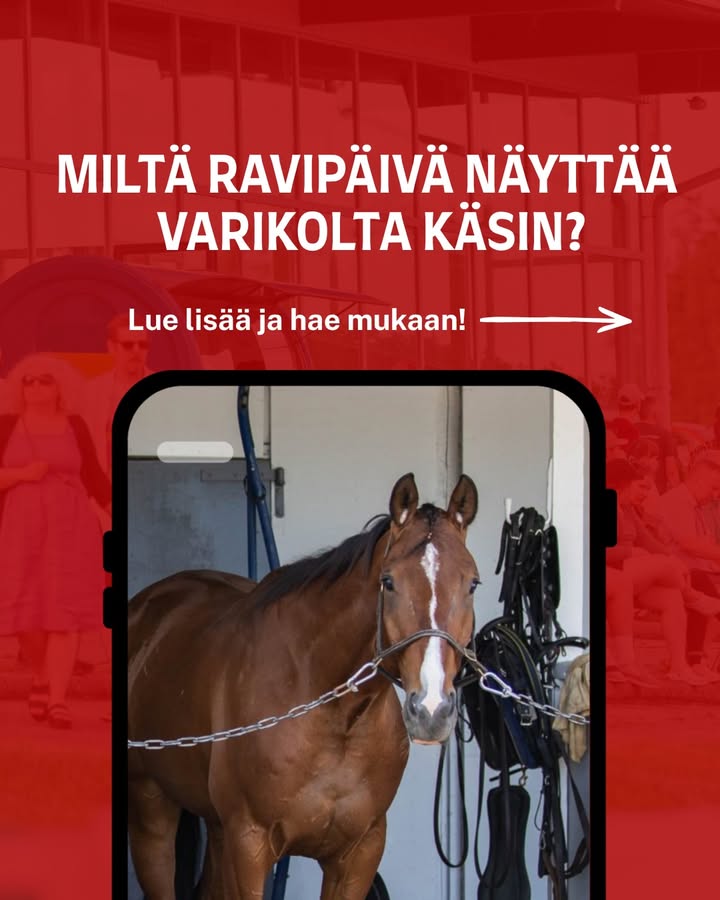 Lappeen Ravirata