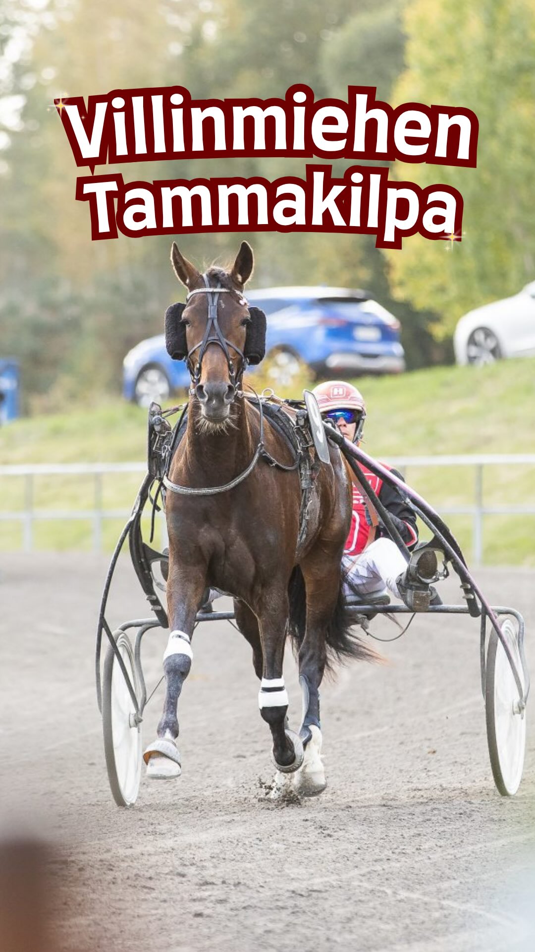 Lappeen Ravirata